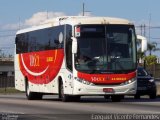 ViaSol Transportes Rodoviários 113010 na cidade de São José dos Campos, São Paulo, Brasil, por Ezequiel Vicente Fernandes. Número da foto: #:id.