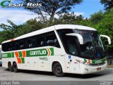 Empresa Gontijo de Transportes 21665 na cidade de São Paulo, São Paulo, Brasil, por César Ônibus. Número da foto: #4681925.
