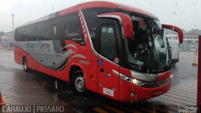 Empresa de Ônibus Pássaro Marron 5646 na cidade de Guarulhos, São Paulo, Brasil, por Cainã Marcos de Araujo. Número da foto: #4692757.