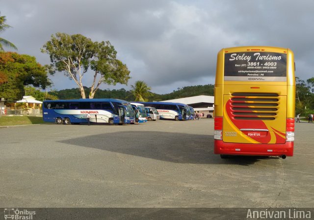 Sirley Turismo 2016 na cidade de Camaçari, Bahia, Brasil, por Aneivan Lima. ID da foto: 4649327.