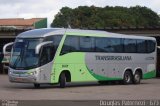 Transbrasiliana Transportes e Turismo 51021 na cidade de Belém, Pará, Brasil, por Douglas Paternezi. Número da foto: #4648361.