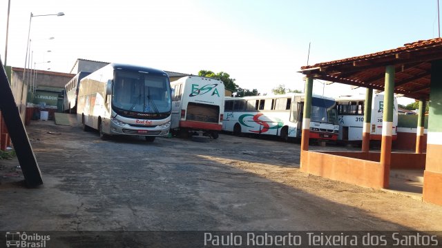 Real Sul Turismo 201675 na cidade de Montalvânia, Minas Gerais, Brasil, por Paulo Roberto Teixeira dos Santos. ID da foto: 4695890.