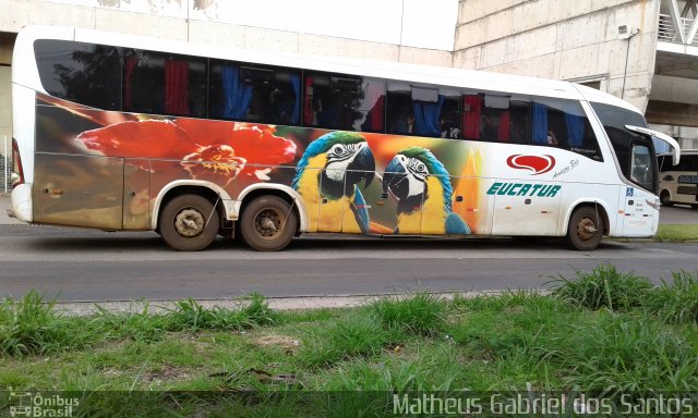 Eucatur - Empresa União Cascavel de Transportes e Turismo 4731 na cidade de Campinas, São Paulo, Brasil, por Matheus Gabriel dos Santos. Número da foto: #4696835.