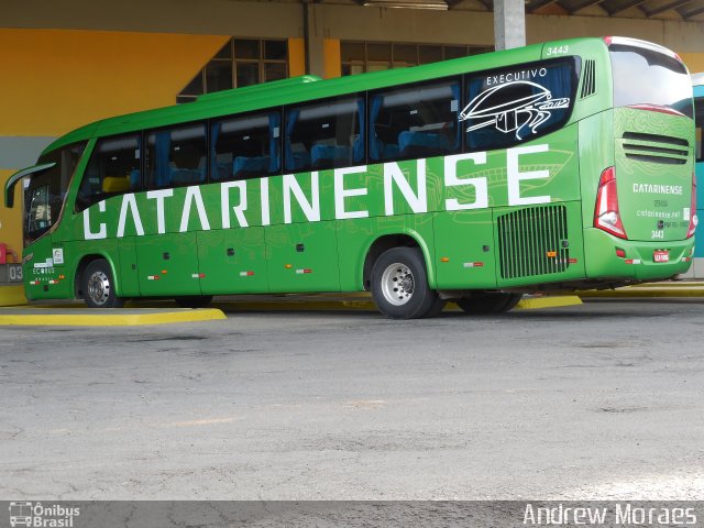 Auto Viação Catarinense 3443 na cidade de Lages, Santa Catarina, Brasil, por Andrew Moraes. Número da foto: #4698538.