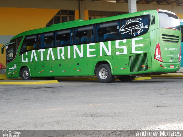 Auto Viação Catarinense 3443 na cidade de Lages, Santa Catarina, Brasil, por Andrew Moraes. ID da foto: 4698538.