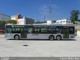Viação Gato Preto 8 2005 na cidade de São Paulo, São Paulo, Brasil, por Canal Willybus. Número da foto: #4700418.