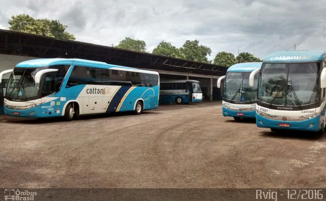 Cattani Sul Transportes e Turismo 11682 na cidade de Pato Branco, Paraná, Brasil, por Rodrigo Augusto  Vignaga. ID da foto: 4704882.