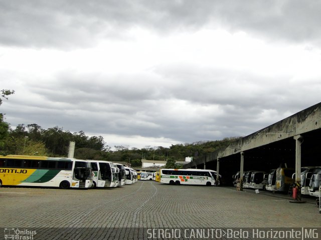 Empresa Gontijo de Transportes GARAGEM BHZ na cidade de Belo Horizonte, Minas Gerais, Brasil, por Sérgio Augusto Braga Canuto. Número da foto: #4705478.