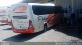 Viação Platina 1800 na cidade de Itumbiara, Goiás, Brasil, por Joao Felipe da Silva . Número da foto: #4706039.