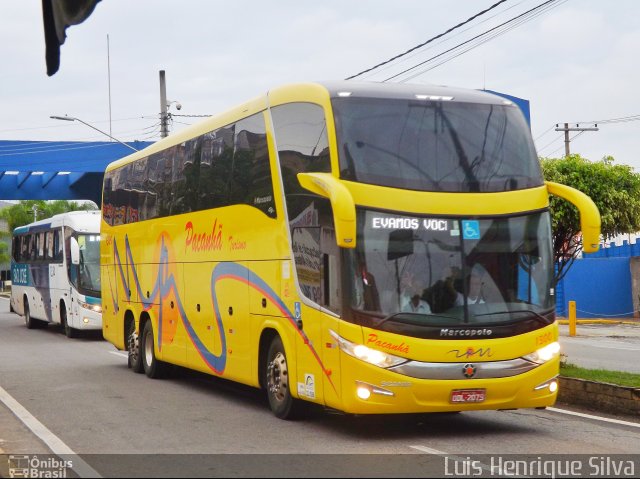 Pacanhã Turismo 1300 na cidade de Aparecida, São Paulo, Brasil, por Luis Henrique Silva. Número da foto: #4711011.