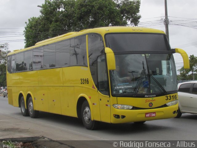 Silvatur 3316 na cidade de Maceió, Alagoas, Brasil, por Rodrigo Fonseca. Número da foto: #4712375.