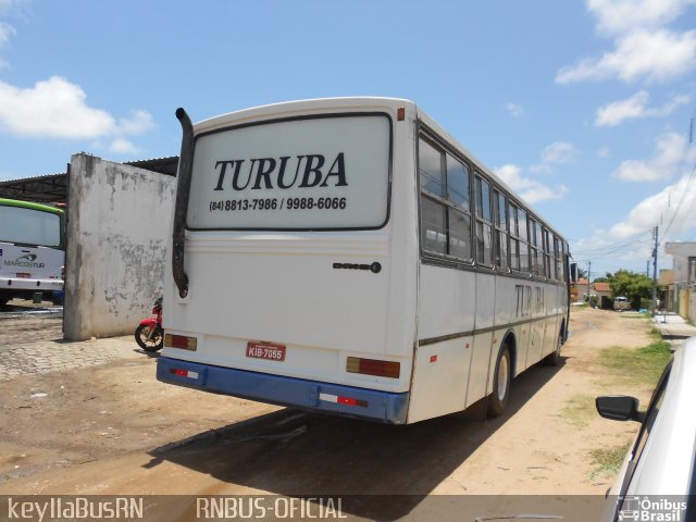 Turuba 7055 na cidade de Natal, Rio Grande do Norte, Brasil, por Keylla Pinto. Número da foto: #4714839.