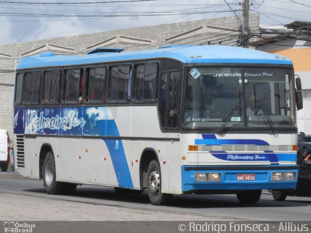 Palmeira Tur 0832 na cidade de Maceió, Alagoas, Brasil, por Rodrigo Fonseca. ID da foto: 4651123.