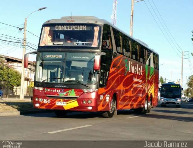 Buses Linatal 164 na cidade de , por Jacob Ramírez  Jake. Número da foto: #4719628.
