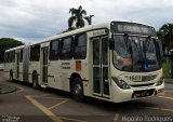 Viação Tamandaré 16411 na cidade de Curitiba, Paraná, Brasil, por Hipólito Rodrigues. Número da foto: #:id.