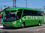 Auto Viação Catarinense 3405 na cidade de São Paulo, São Paulo, Brasil, por Leonardo Fidelli. Número da foto: #4723451.