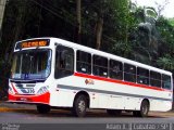 Viação Bom Jesus > VTL - Viação Trans Líder 336 na cidade de Cubatão, São Paulo, Brasil, por Adam Xavier Rodrigues Lima. Número da foto: #4724523.