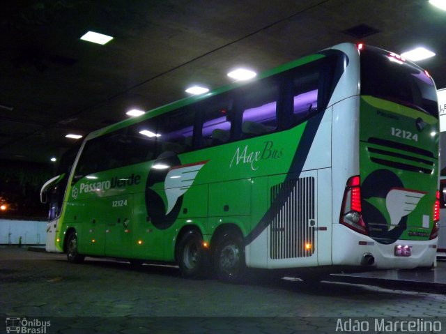 Pássaro Verde 12124 na cidade de Belo Horizonte, Minas Gerais, Brasil, por Adão Raimundo Marcelino. Número da foto: #4654108.
