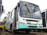 Ônibus Particulares 163 na cidade de Abreu e Lima, Pernambuco, Brasil, por Diego Rhamon Reis da Silva. Número da foto: #:id.