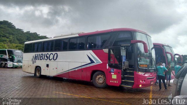 Hibisco Turismo 900 na cidade de Brumadinho, Minas Gerais, Brasil, por João César Luz. Número da foto: #4656219.