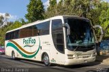 Transportes del Pacifico 06575 na cidade de Gustavo A. Madero, Ciudad de México, México, por Omar Ramírez Thor2102. Número da foto: #4657240.