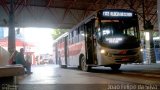 BBTT - Benfica Barueri Transporte e Turismo 5743 na cidade de Barueri, São Paulo, Brasil, por Joao Felipe da Silva . Número da foto: #4660456.