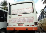 Ônibus Particulares 8367 na cidade de Abreu e Lima, Pernambuco, Brasil, por Diego Rhamon Reis da Silva. Número da foto: #:id.