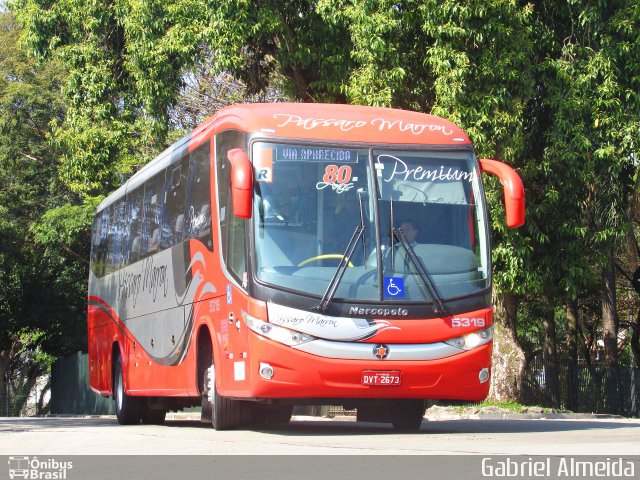 Empresa de Ônibus Pássaro Marron 5319 na cidade de São Paulo, São Paulo, Brasil, por Gabriel Almeida. Número da foto: #4664858.