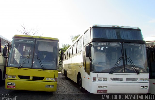 Empresa Gontijo de Transportes Ex 15235 na cidade de Belo Horizonte, Minas Gerais, Brasil, por Maurício Nascimento. ID da foto: 4664528.