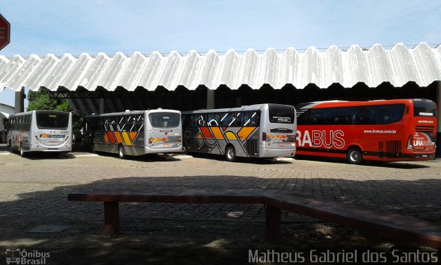 VB Transportes e Turismo 8006 na cidade de Indaiatuba, São Paulo, Brasil, por Matheus Gabriel dos Santos. Número da foto: #4666681.
