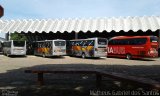 VB Transportes e Turismo 8006 na cidade de Indaiatuba, São Paulo, Brasil, por Matheus Gabriel dos Santos. Número da foto: #4666681.