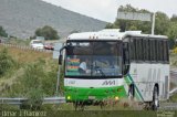 AVM - Autotransportes Valle del Mezquital 1147 na cidade de San Agustín Tlaxiaca, Hidalgo, México, por Omar Ramírez Thor2102. Número da foto: #4667484.