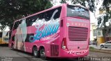 Lidia Turismo 4013 na cidade de Belo Horizonte, Minas Gerais, Brasil, por Daniel Junior Sena. Número da foto: #3961800.