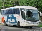 Falcão Real 21100 na cidade de Salvador, Bahia, Brasil, por Emanuel Edson Pimenta. Número da foto: #:id.