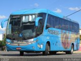 Auto Viação Progresso 6122 na cidade de Serra Talhada, Pernambuco, Brasil, por Lucas Ramon. Número da foto: #3988058.
