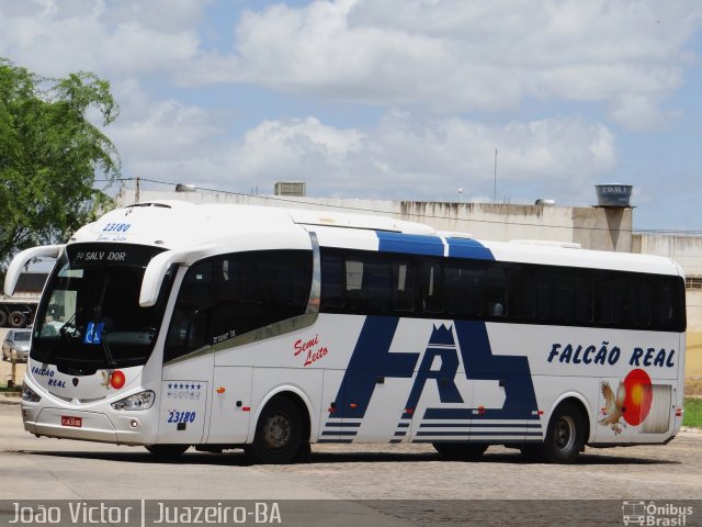 Falcão Real 23180 na cidade de Juazeiro, Bahia, Brasil, por João Victor. Número da foto: #3993350.