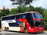 Pluma Conforto e Turismo 7101 na cidade de São Paulo, São Paulo, Brasil, por Sandro Alves. ID da foto: :id.