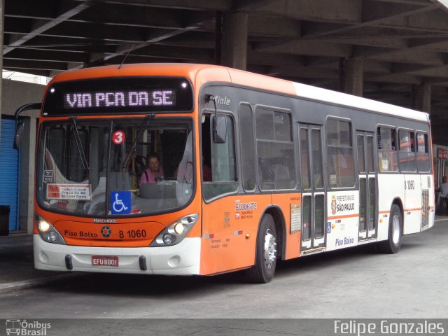TRANSPPASS - Transporte de Passageiros 8 1060 na cidade de São Paulo, São Paulo, Brasil, por Felipe Gonzales. Número da foto: #3996152.