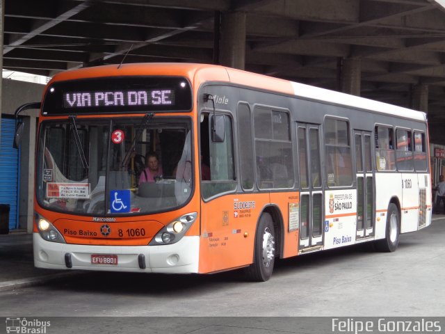 TRANSPPASS - Transporte de Passageiros 8 1060 na cidade de São Paulo, São Paulo, Brasil, por Felipe Gonzales. ID da foto: 3996152.