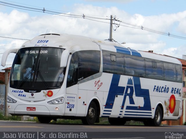 Falcão Real 23150 na cidade de Senhor do Bonfim, Bahia, Brasil, por João Victor. Número da foto: #3995643.