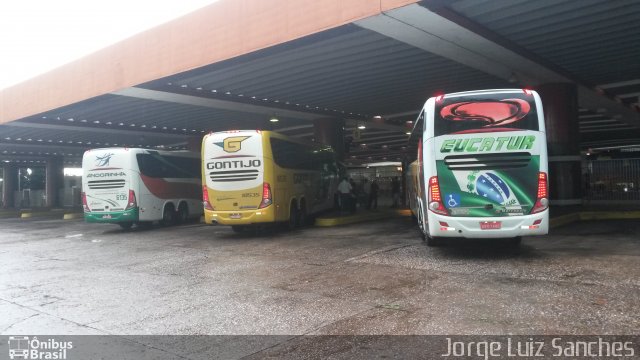 Eucatur - Empresa União Cascavel de Transportes e Turismo 4928 na cidade de Cuiabá, Mato Grosso, Brasil, por Jorge Luiz Sanches. Número da foto: #3994249.