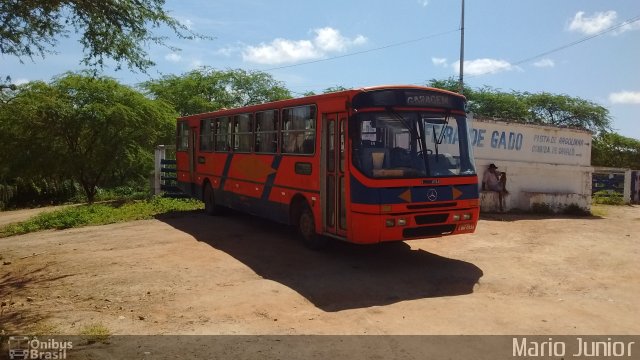 Moisvan Transportes 27657 na cidade de Piritiba, Bahia, Brasil, por Mario Junior. Número da foto: #3999447.