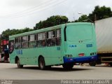 AVS Transportes 8009 na cidade de Cabo de Santo Agostinho, Pernambuco, Brasil, por Pedro Francisco Junior. ID da foto: :id.