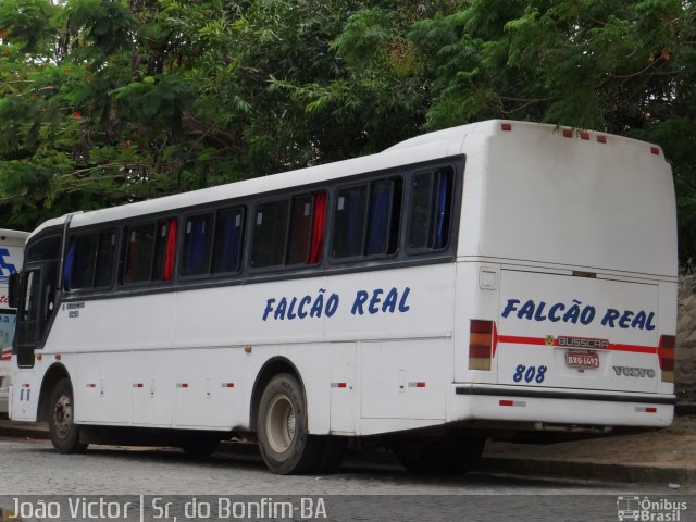 Falcão Real 808 na cidade de Senhor do Bonfim, Bahia, Brasil, por João Victor. ID da foto: 4002787.