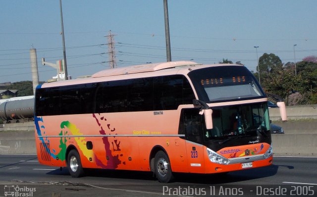 Chilebus Internacional 223 na cidade de São Paulo, São Paulo, Brasil, por Cristiano Soares da Silva. ID da foto: 4006462.