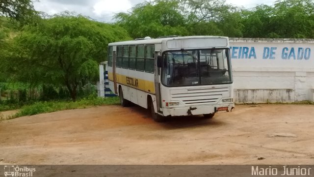 Moisvan Transportes 8047 na cidade de Piritiba, Bahia, Brasil, por Mario Junior. Número da foto: #4005361.