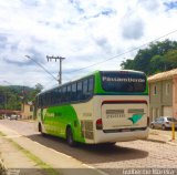Pássaro Verde 26018 na cidade de Santa Bárbara, Minas Gerais, Brasil, por Guilherme Moreira. Número da foto: #:id.