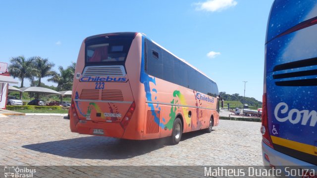 Chilebus Internacional 223 na cidade de Registro, São Paulo, Brasil, por Matheus Duarte Souza. ID da foto: 3964843.