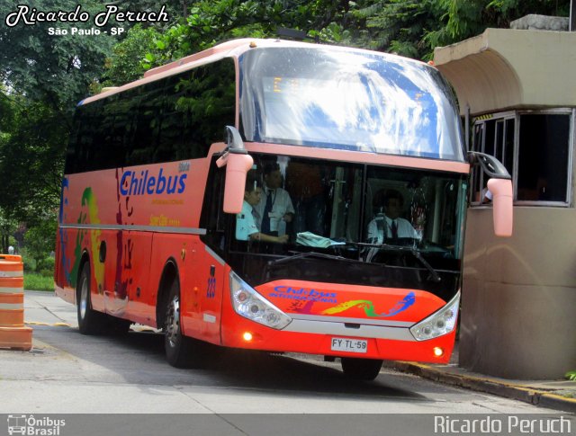 Chilebus Internacional 223 na cidade de São Paulo, São Paulo, Brasil, por Ricardo Peruch. ID da foto: 4010807.