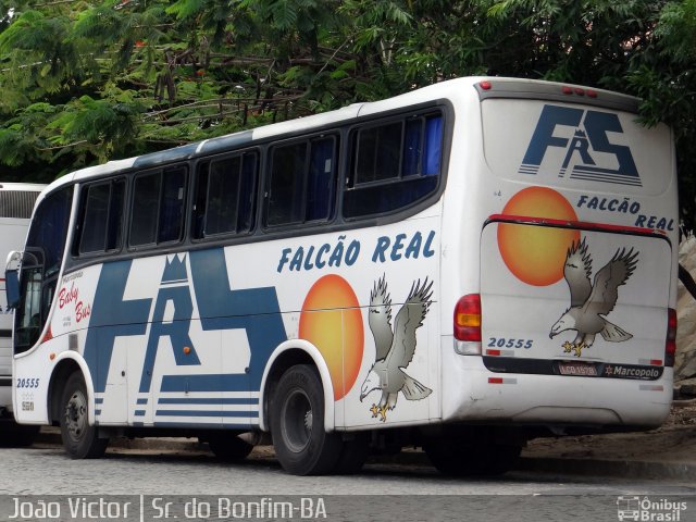 Falcão Real 20555 na cidade de Senhor do Bonfim, Bahia, Brasil, por João Victor. ID da foto: 4010242.